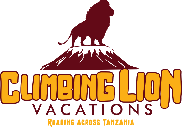 Climbing-Lion-Vacations