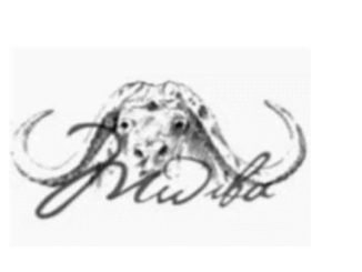 Mwiba-Holdings-Limited-326x245-1-1