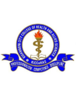 kigamboni city college of health and allied sciences