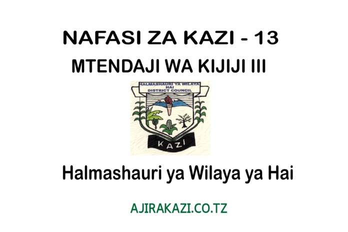 MTENDAJI-WA-KIJIJI-III-13-POST-HAID-DC