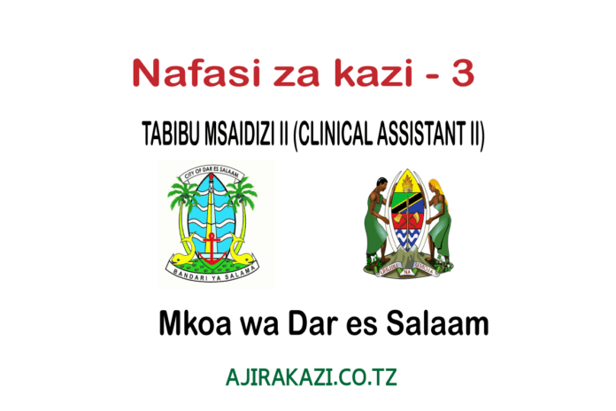 TABIBU-MSAIDIZI-II-CLINICAL-ASSISTANT-II-1